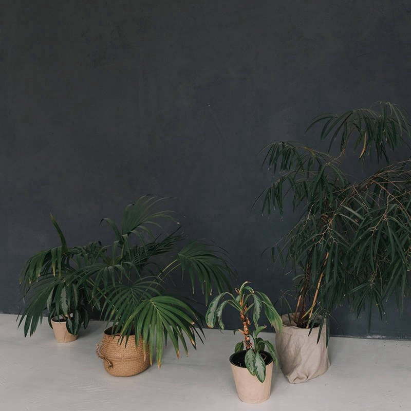 456 зал циклорама. Фотограф Анастасия Евсеева |Белгород