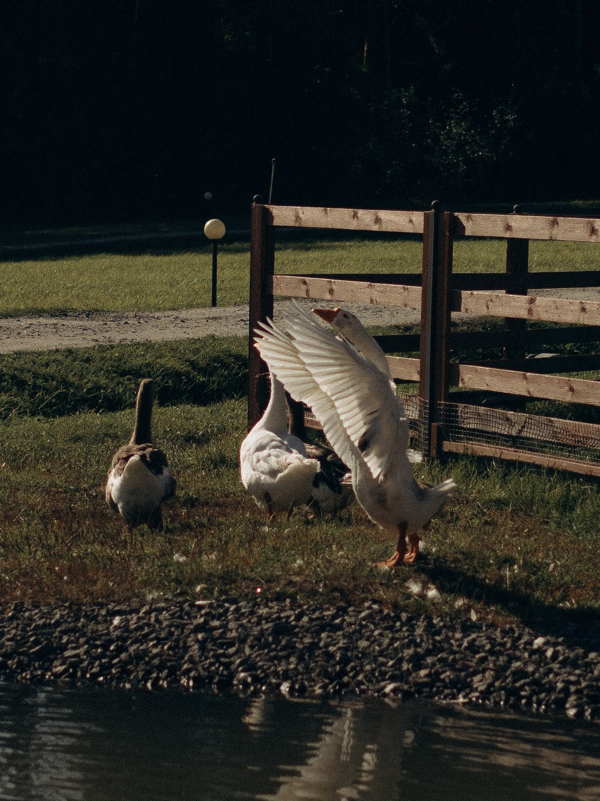 Fam2. Фотограф в Сортавала Карина Буглакова