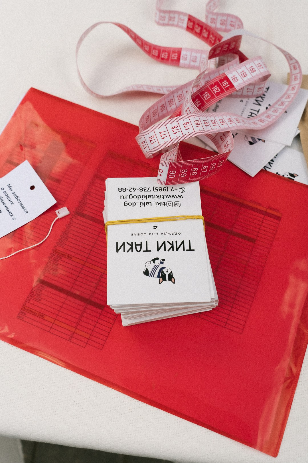 Парад Бульдогов. Axenov_eugene