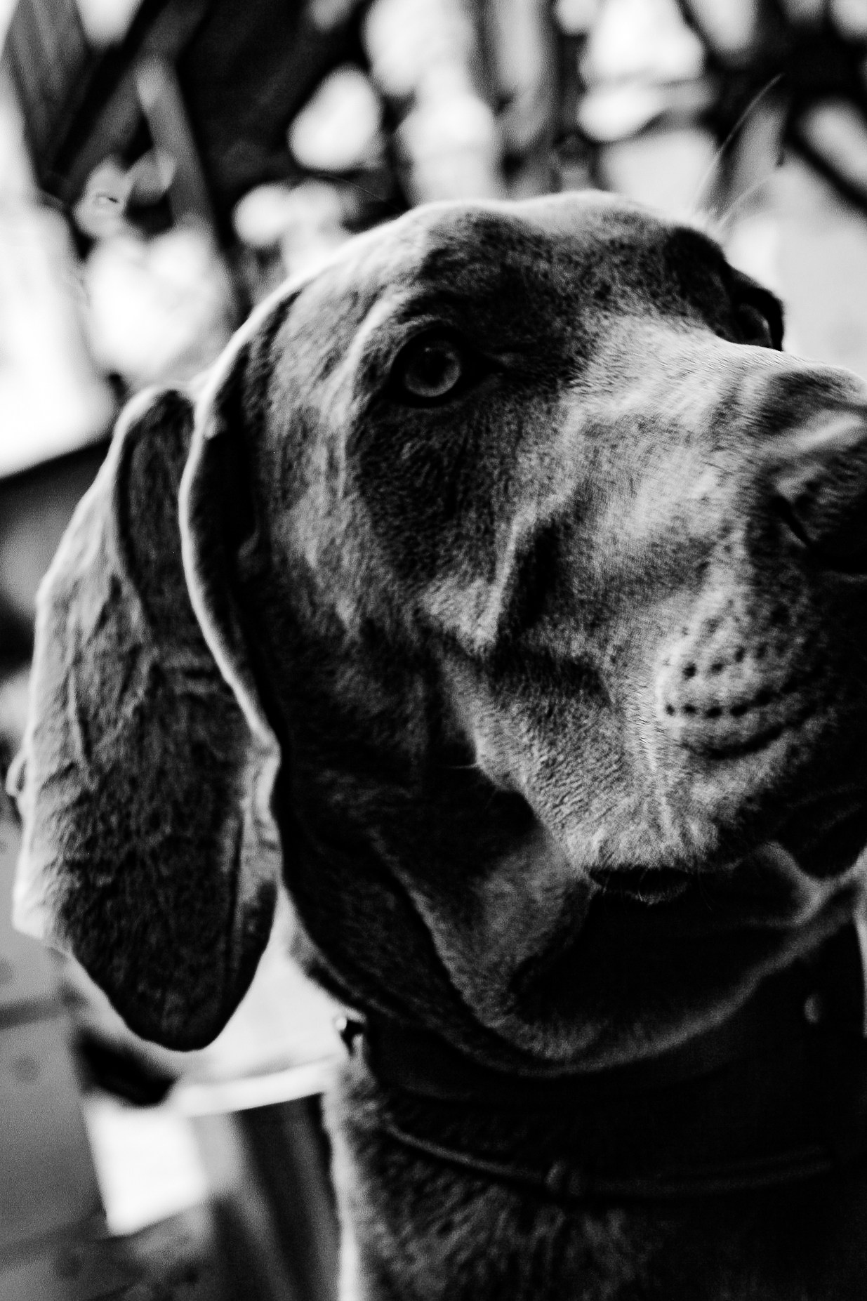 I. Стас Привалов