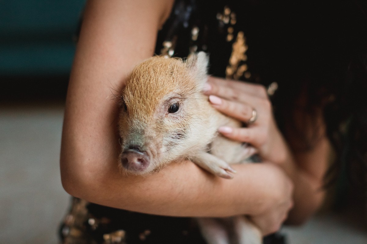 ОЛЬГА, ТИМОФЕЙ, АНДРЕЙ И ФАРИОН. Семейный фотограф новорождённых в Серпухове Юлия Новикова +79637785957