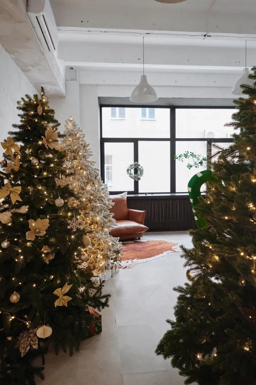 Зал Малый, фотостудия «Family», Красноярск. Классный фотограф Красноярска Васильева Ирина