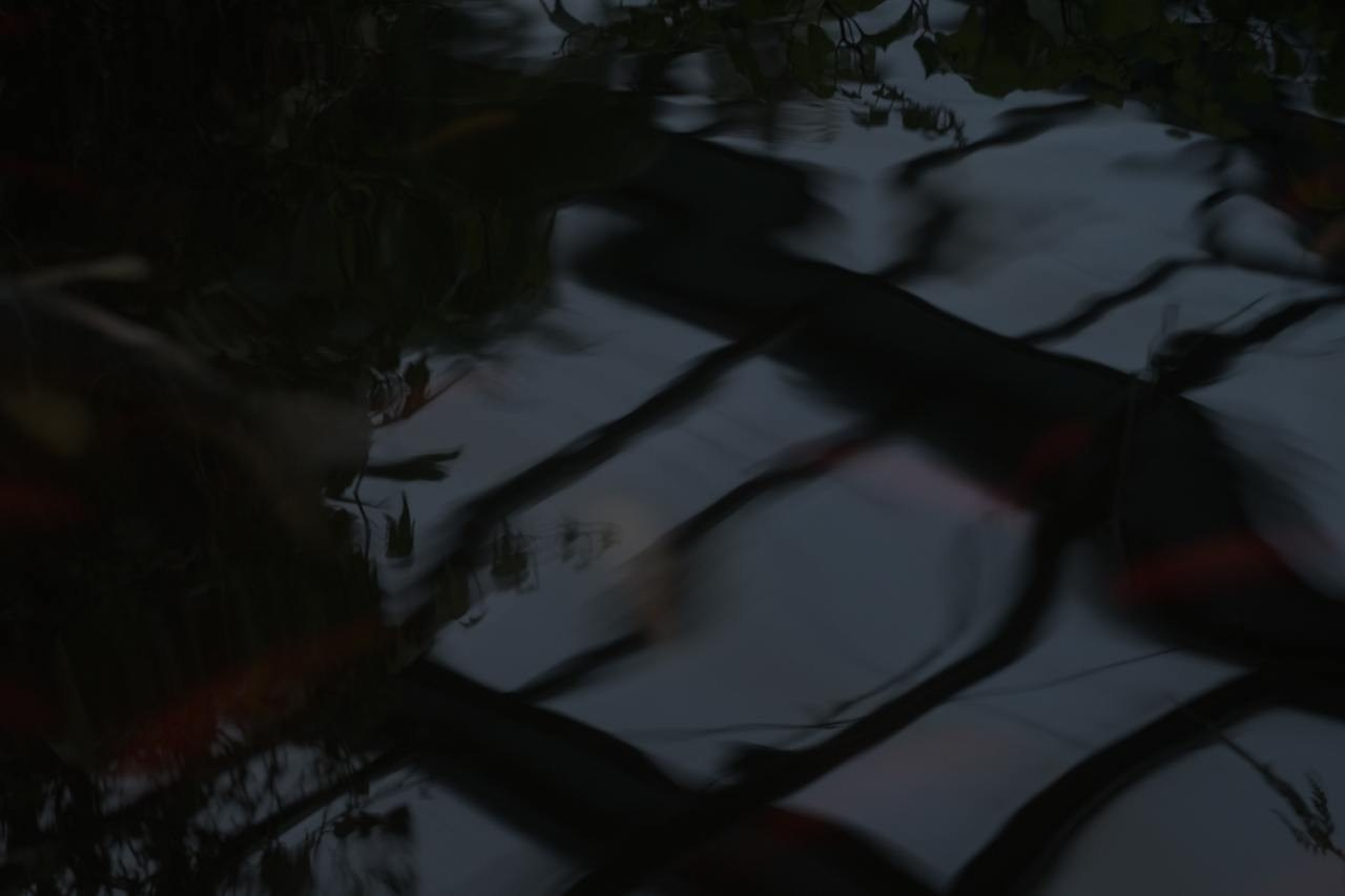 Аптекарский огород. Софа Катастрофа, Одичание. фотохудожница, креативный продюсер, автор. Nude, eros, портретный фотограф