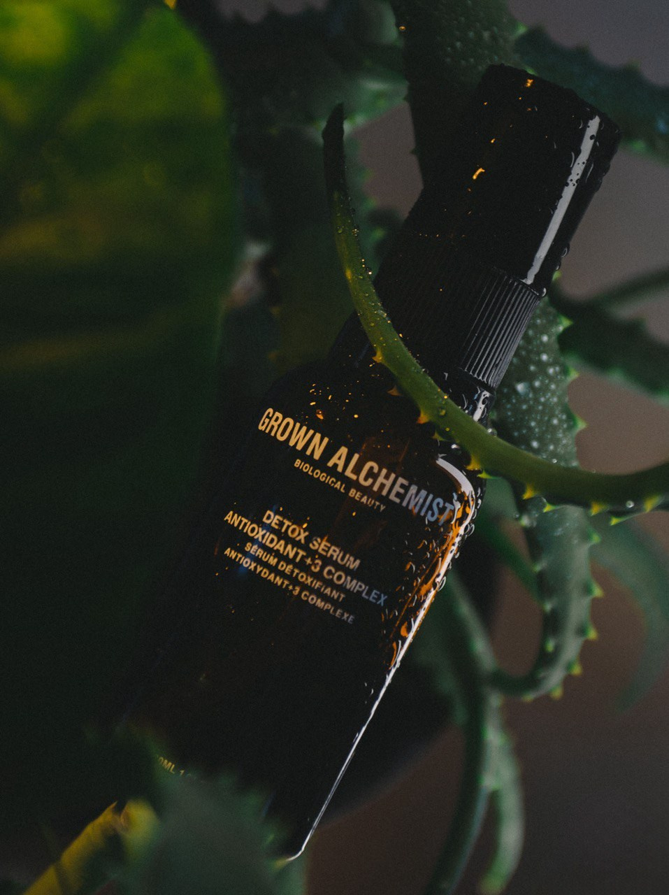 Cosmotheca / уходовая косметика. Контент-фотограф в Иркутске Мохирева Мария