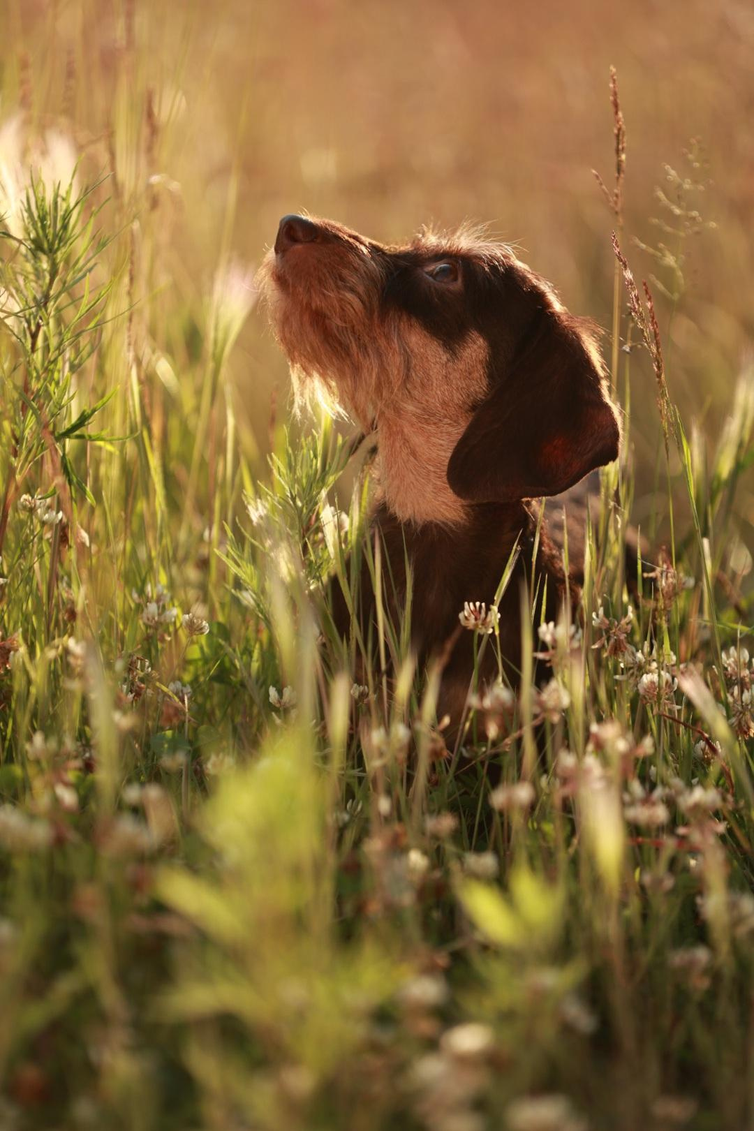 Отзывы. Фотограф Анастасия Ветковская, Москва