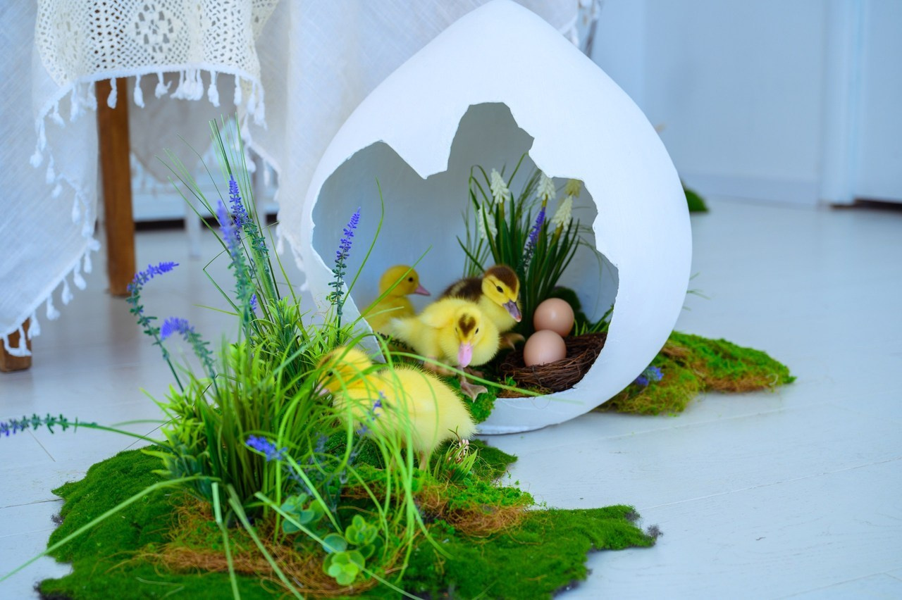 Отзывы. Фотограф. Выпускные альбомы в Барнауле