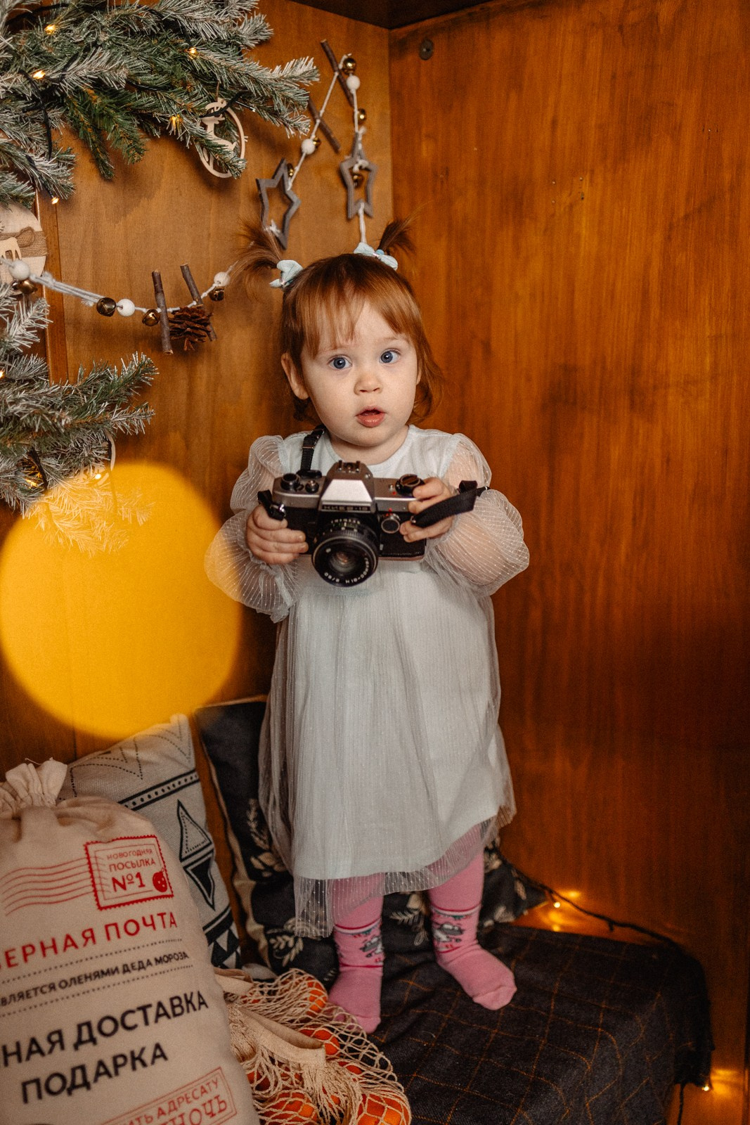 Новогодняя в студии. Семейный фотограф в Дзержинске Наталья Лаэтина