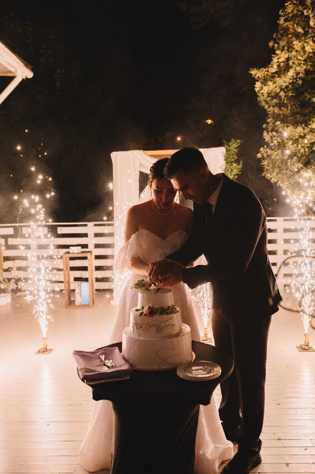 Артур и Вера. Ведущая на свадьбу, корпоратив, юбилей в Москве Бойчук Наталья