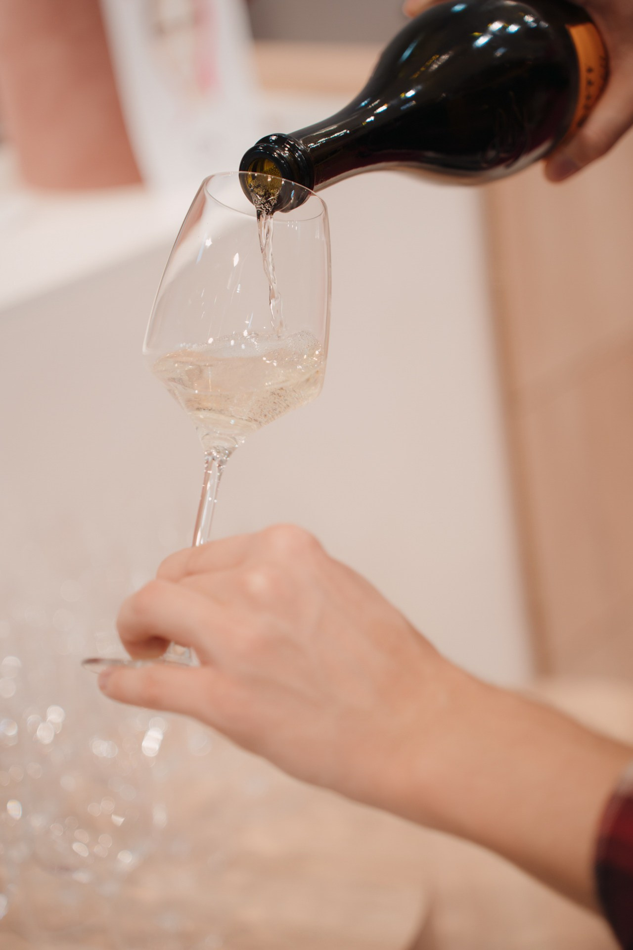 Открытие магазина Catarina Nova. Night2Day Санкт-Петербург