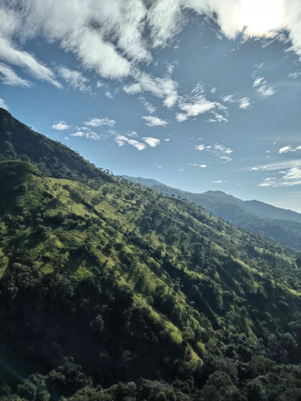 Шри-Ланка | 31.01 — 10.02.2025. Галерея Фантим