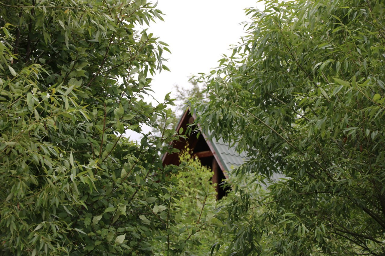 Деревенский выезд. Галерея Фантим