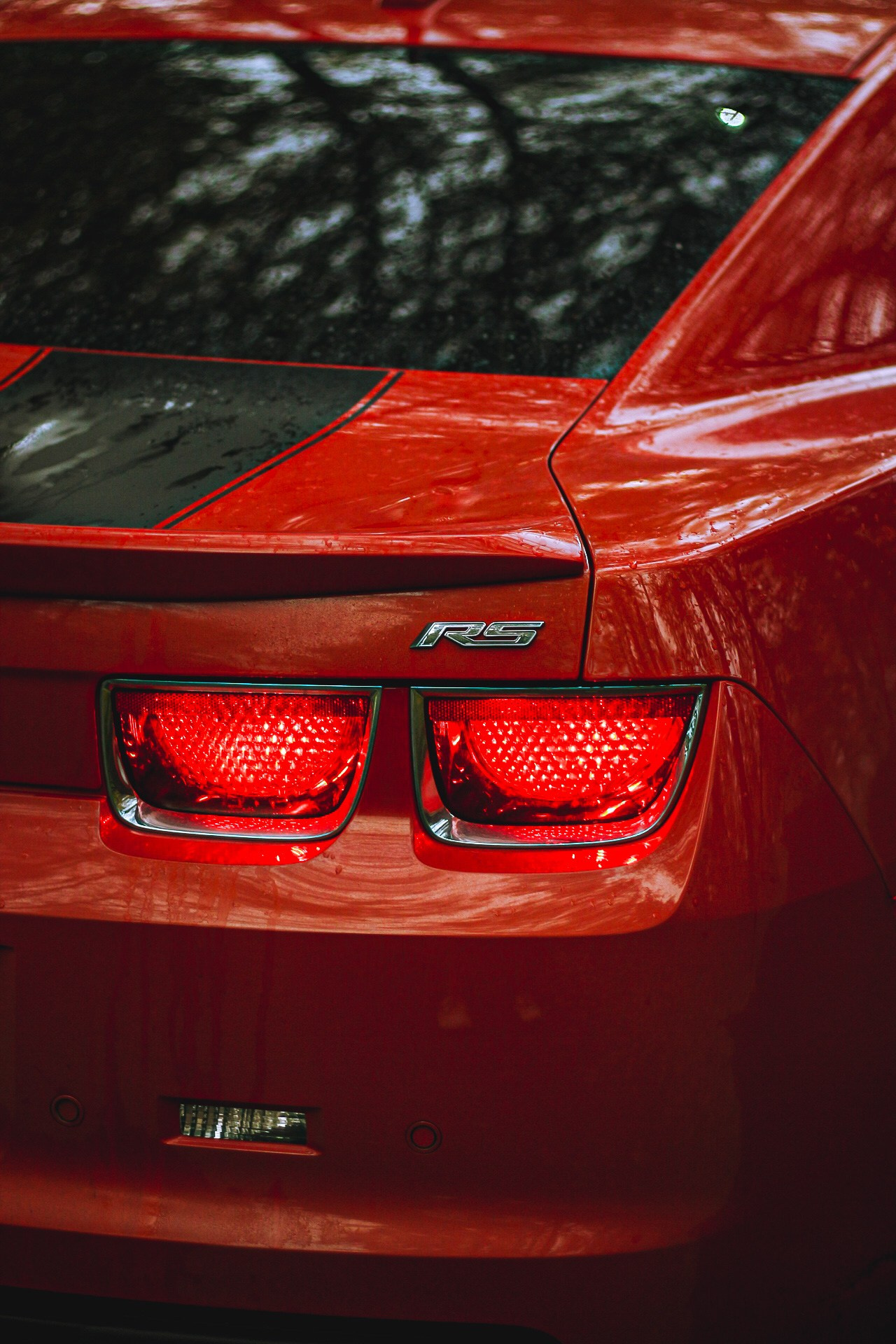 Cars. Фотограф Ксюша Костюченко