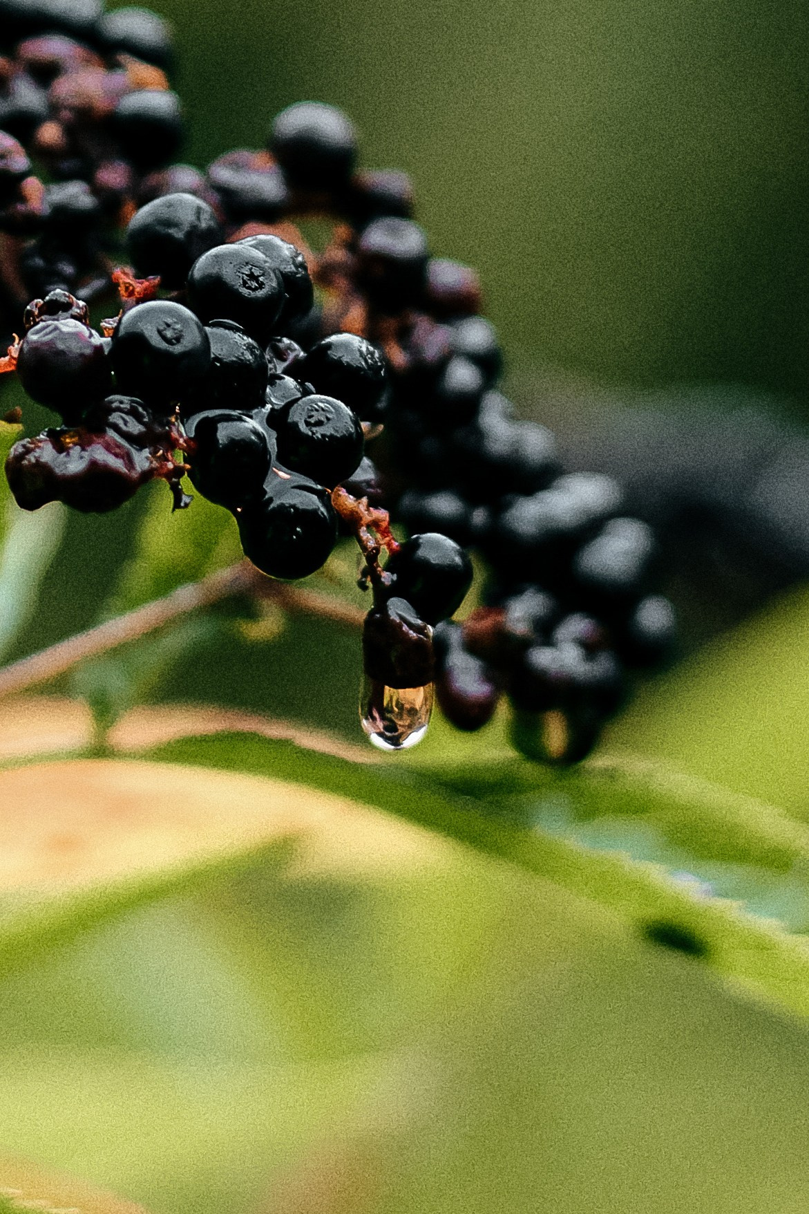 Nature. Оля Валиахметова — портретный и репортажный фотограф из Екатеринбурга