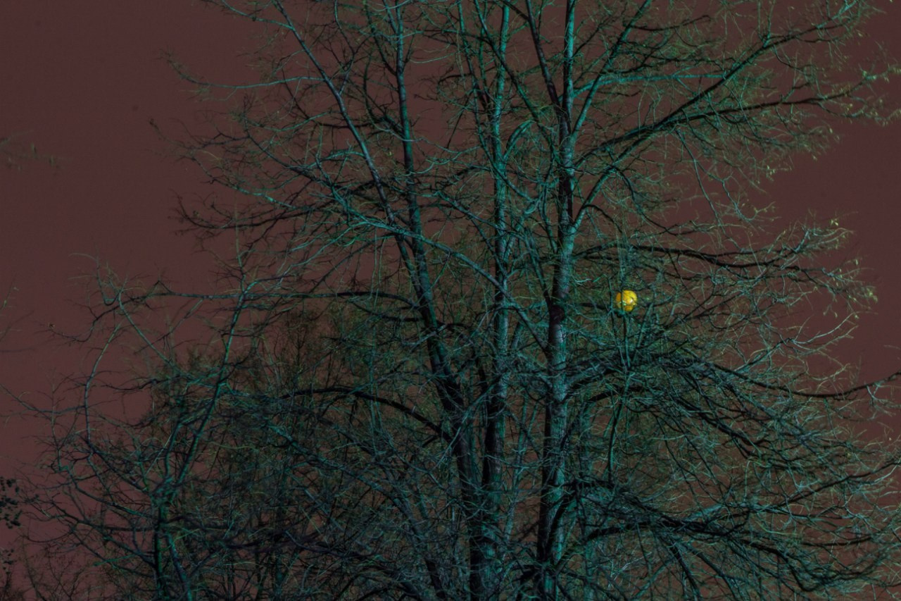 SaintP. night. Фотограф Cyberkyrie