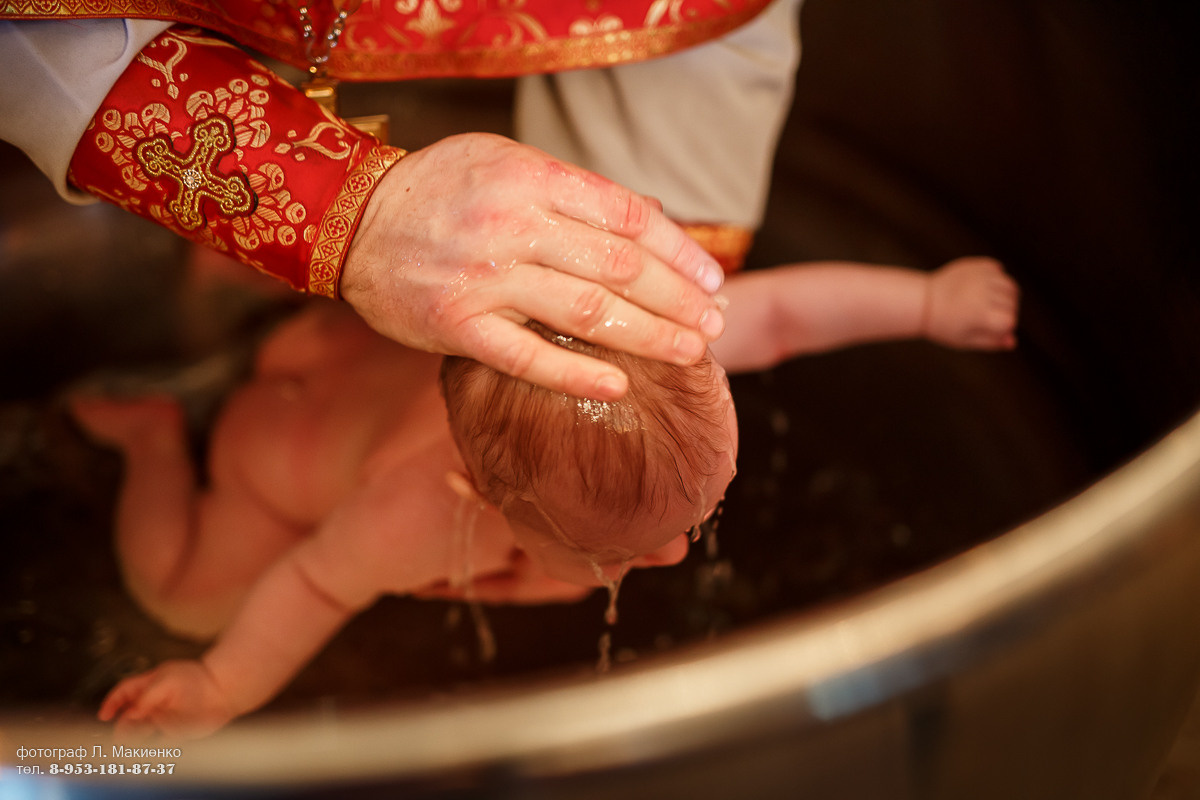 тульские фотографы