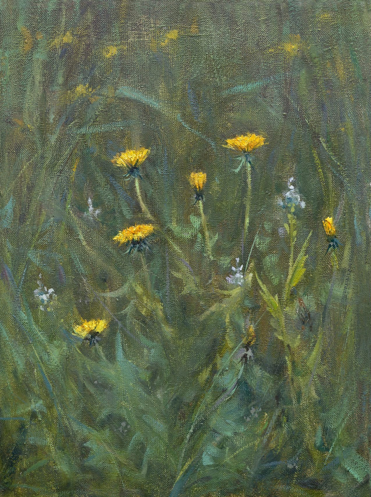 Одуванчики. Художник Александр Каверин