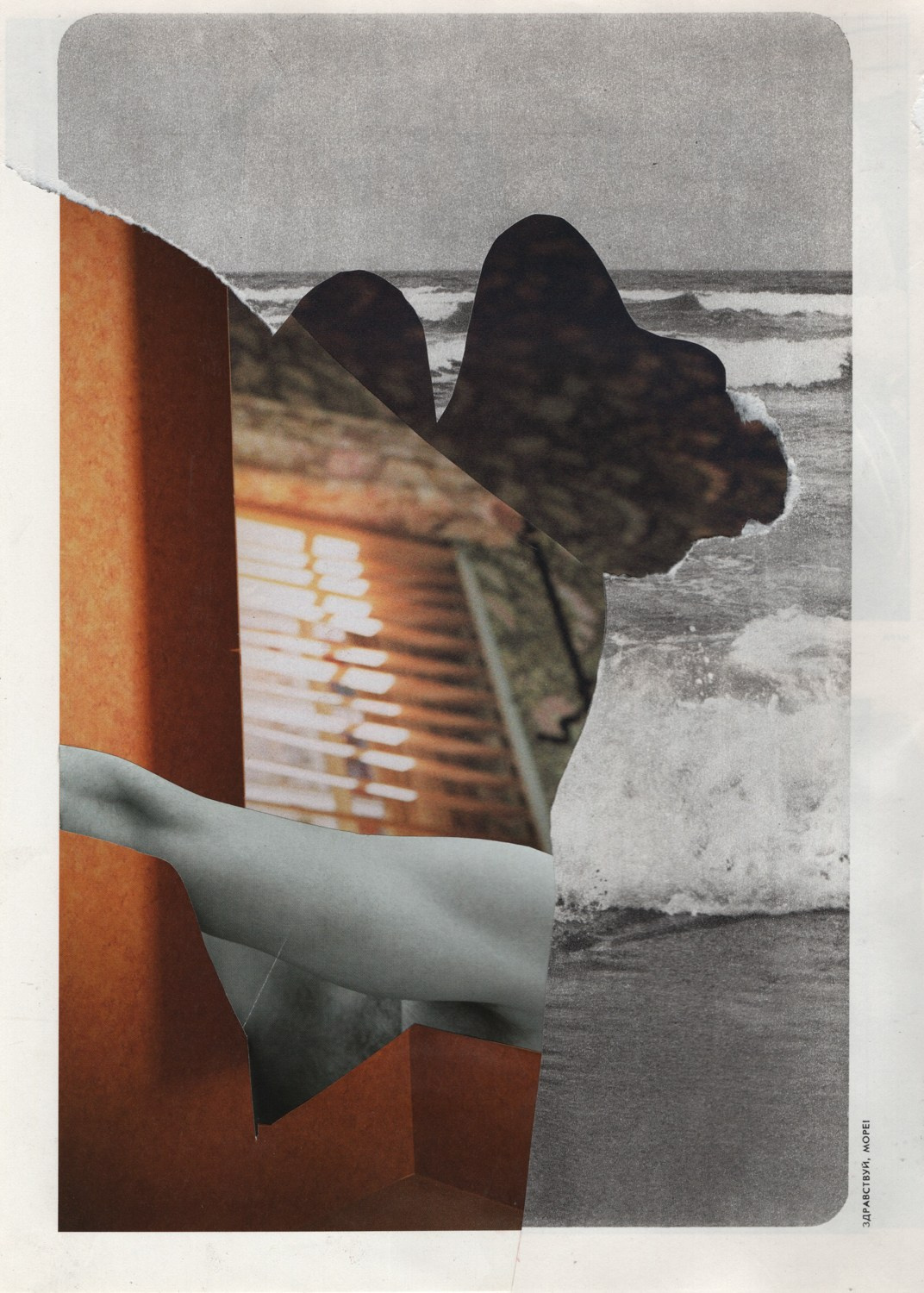 Shards of despair. Maria Barakova