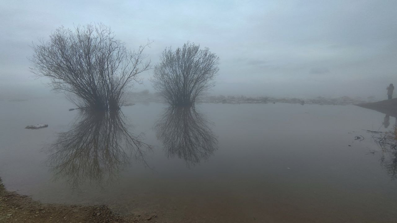 дачи, город, архитектура, стрит, репортажная фотография, фотография, Хабаровск, фотосессия, фотограф, дом, новостройка, улицы, жизнь города, town, art, photo, photographer, photo, Khabarovsk, Far East, street photo, природа, Дальний Восток, тайга, цветы, закат, небо, облака, nature, clouds, forest, flower, sunset