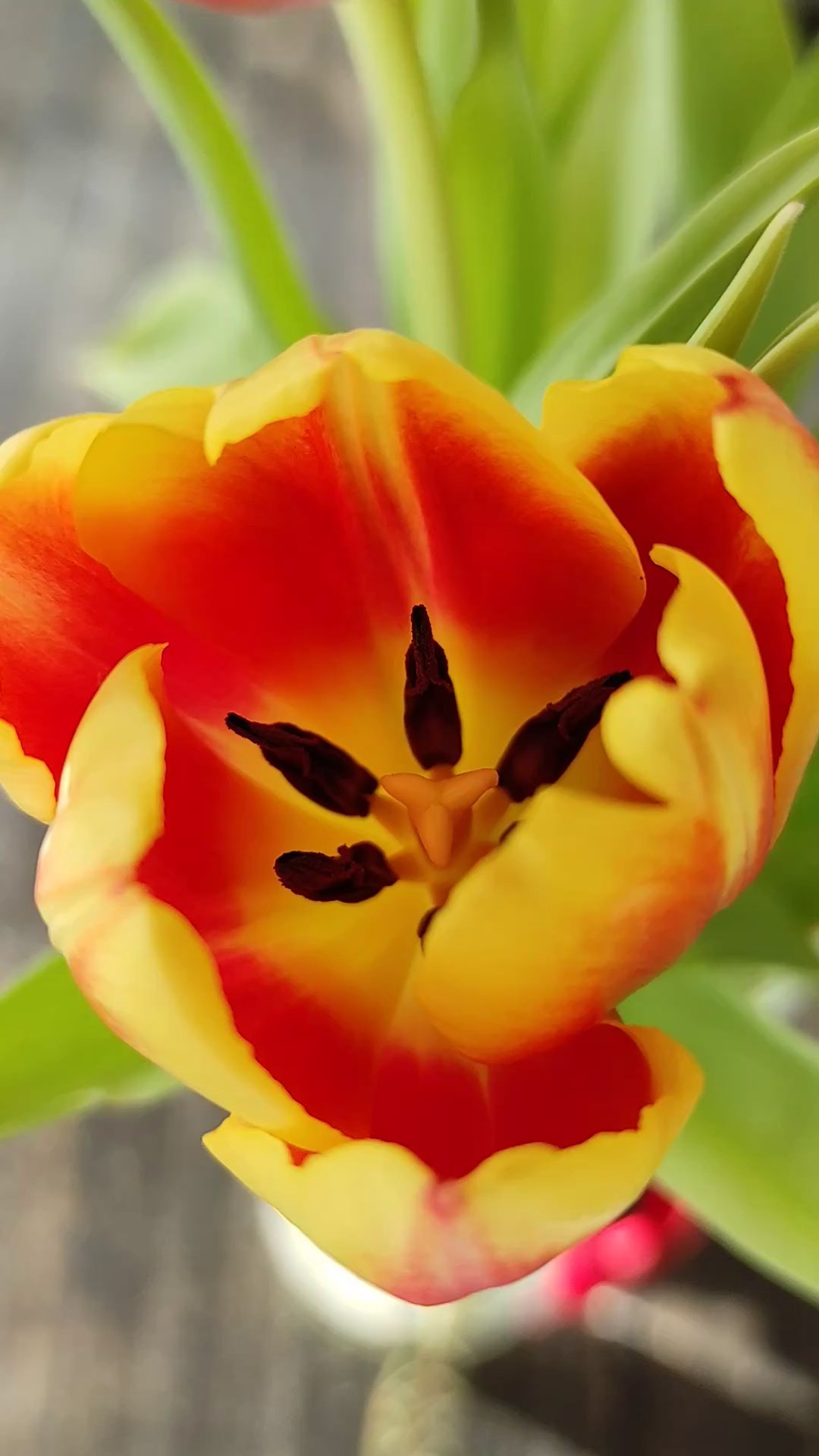 9 МАРТА. Арт-вечеринки и мастер-классы в Москве для взрослых и детей