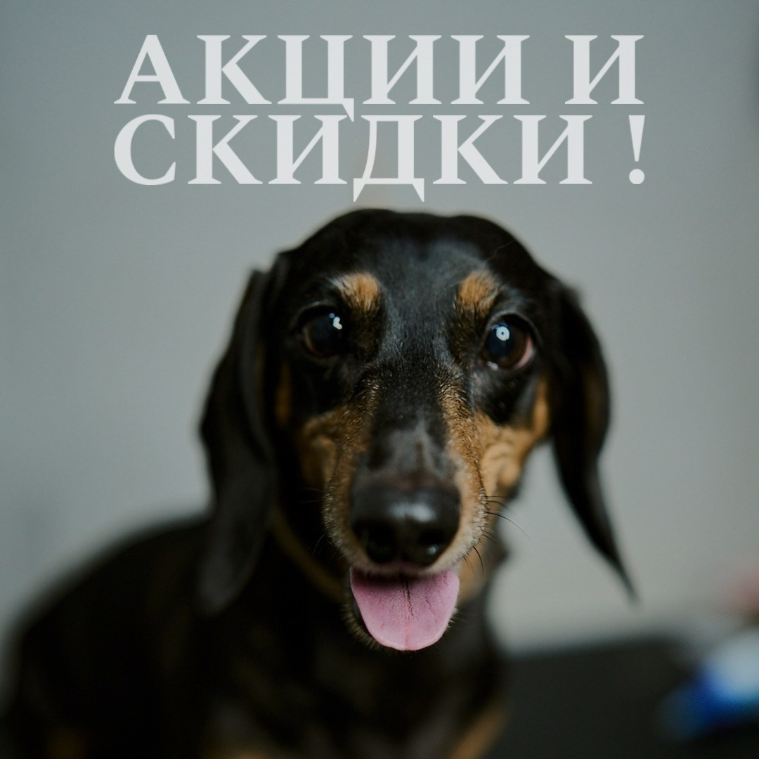Скидки, бесплатные фотосессии. Фотограф на все случаи жизни|Москва|Таня Бочкова