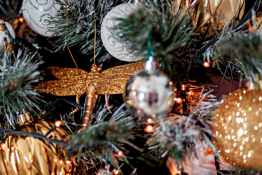 МОЯ НОВОГОДНЯЯ СТУДИЯ. 2018-2025. Женский и семейный фотограф Елена Петрова