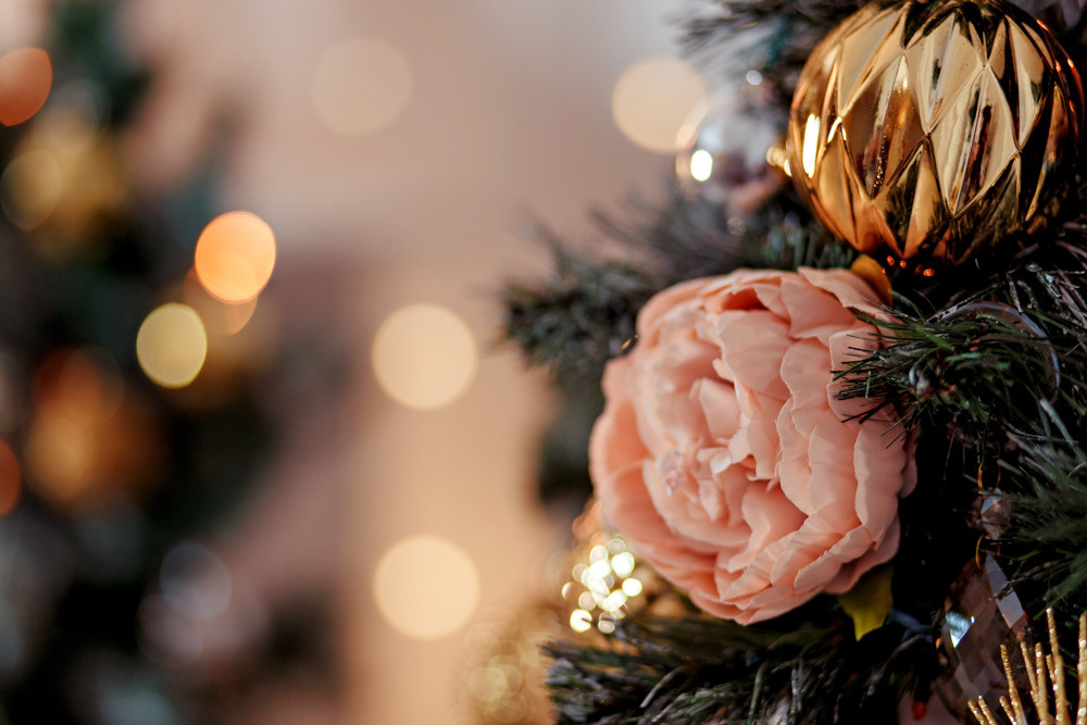 МОЯ НОВОГОДНЯЯ СТУДИЯ. 2018-2025. Женский и семейный фотограф Елена Петрова