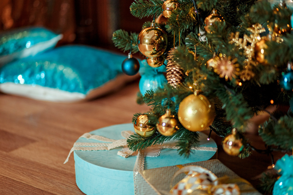 МОЯ НОВОГОДНЯЯ СТУДИЯ. 2018-2025. Женский и семейный фотограф Елена Петрова