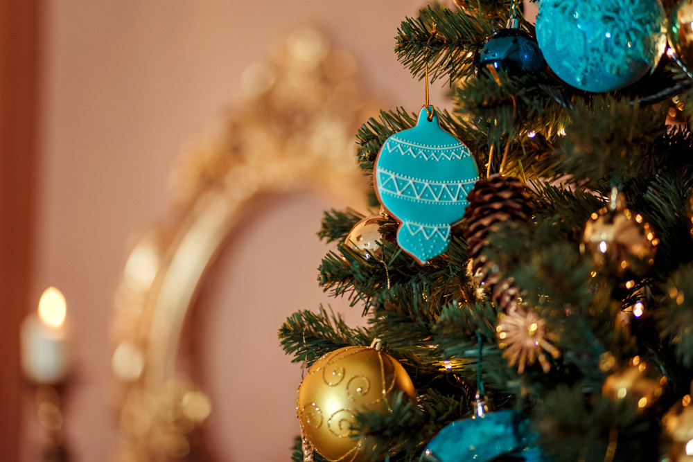 МОЯ НОВОГОДНЯЯ СТУДИЯ. 2018-2025. Женский и семейный фотограф Елена Петрова