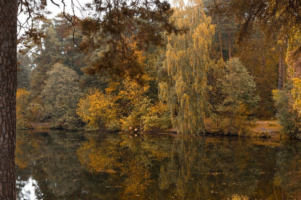 35 AWARDS. Семейный и свадебный фотограф в Москве и Домодедово Анна Авилочкина