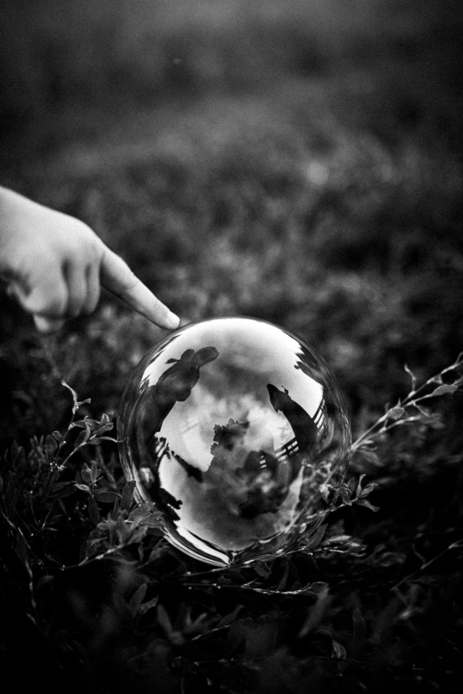 Саша, Ира, Женя | на природе