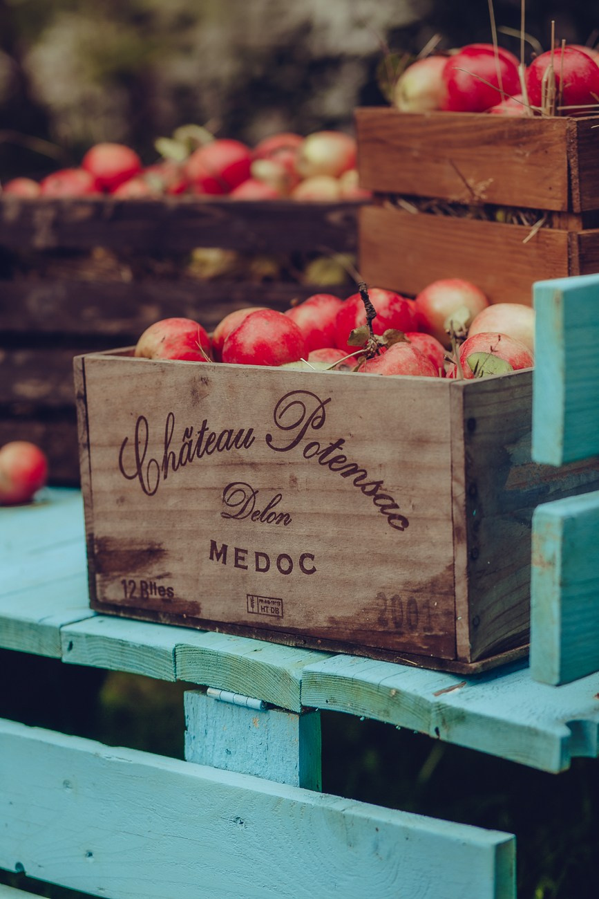 ЛИЗА И ЕЛИСЕЙ. Фотограф Дарья Хрипач