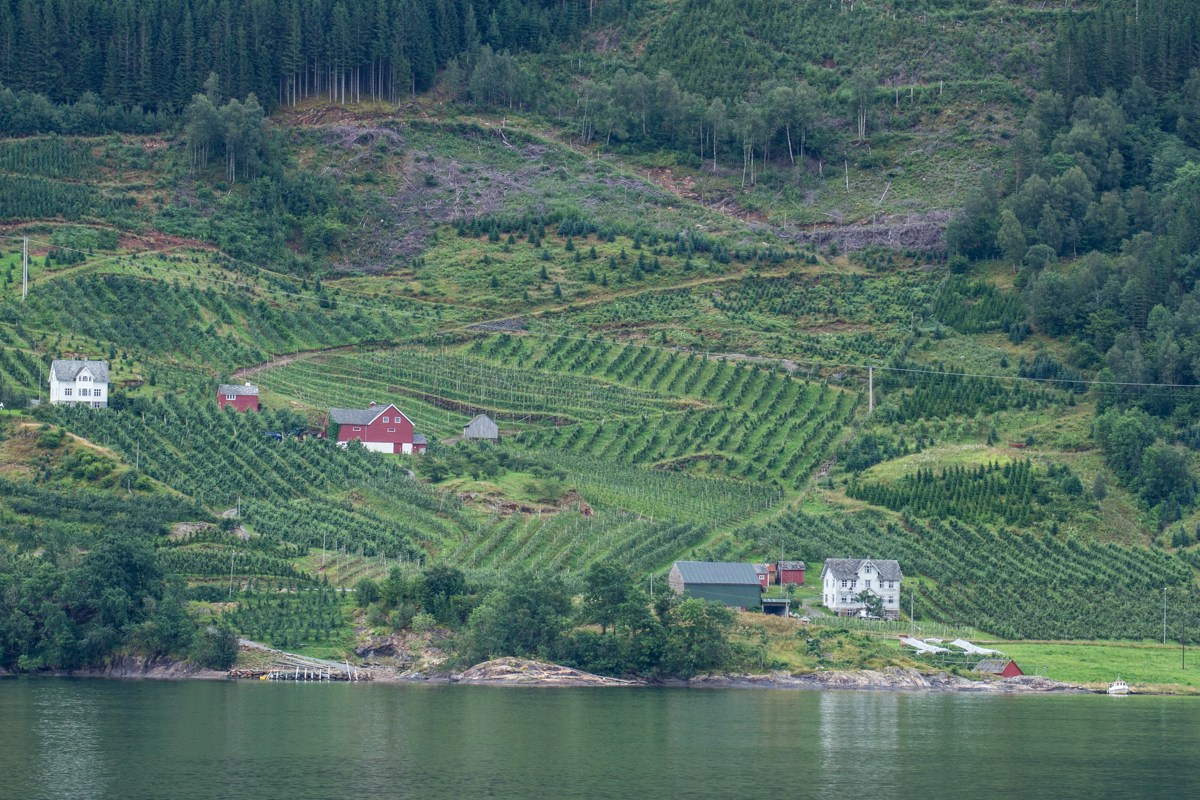 07/17. Норвегия. Walk&Fly with Batay