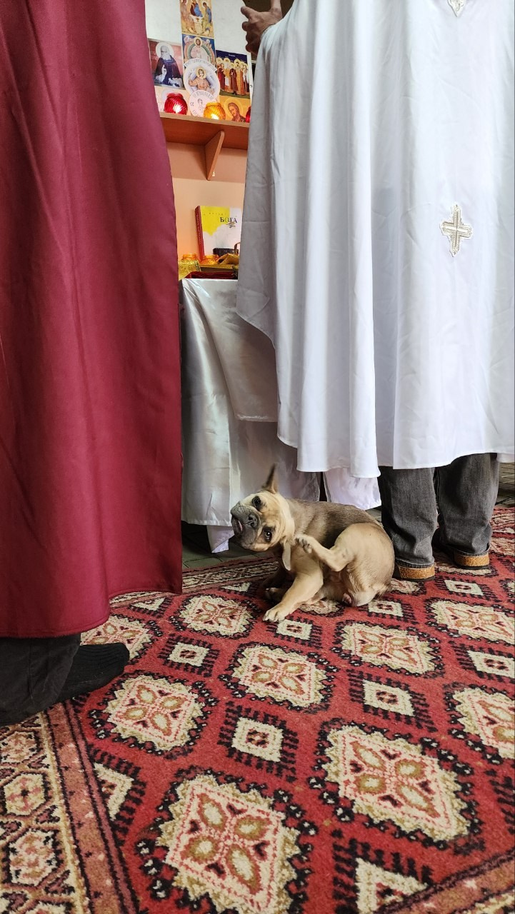 Литургия в Горячем Ключе (2024-09-21). Собор Отрасли