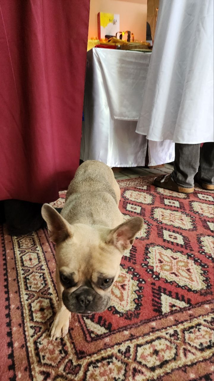 Литургия в Горячем Ключе (2024-09-21). Собор Отрасли