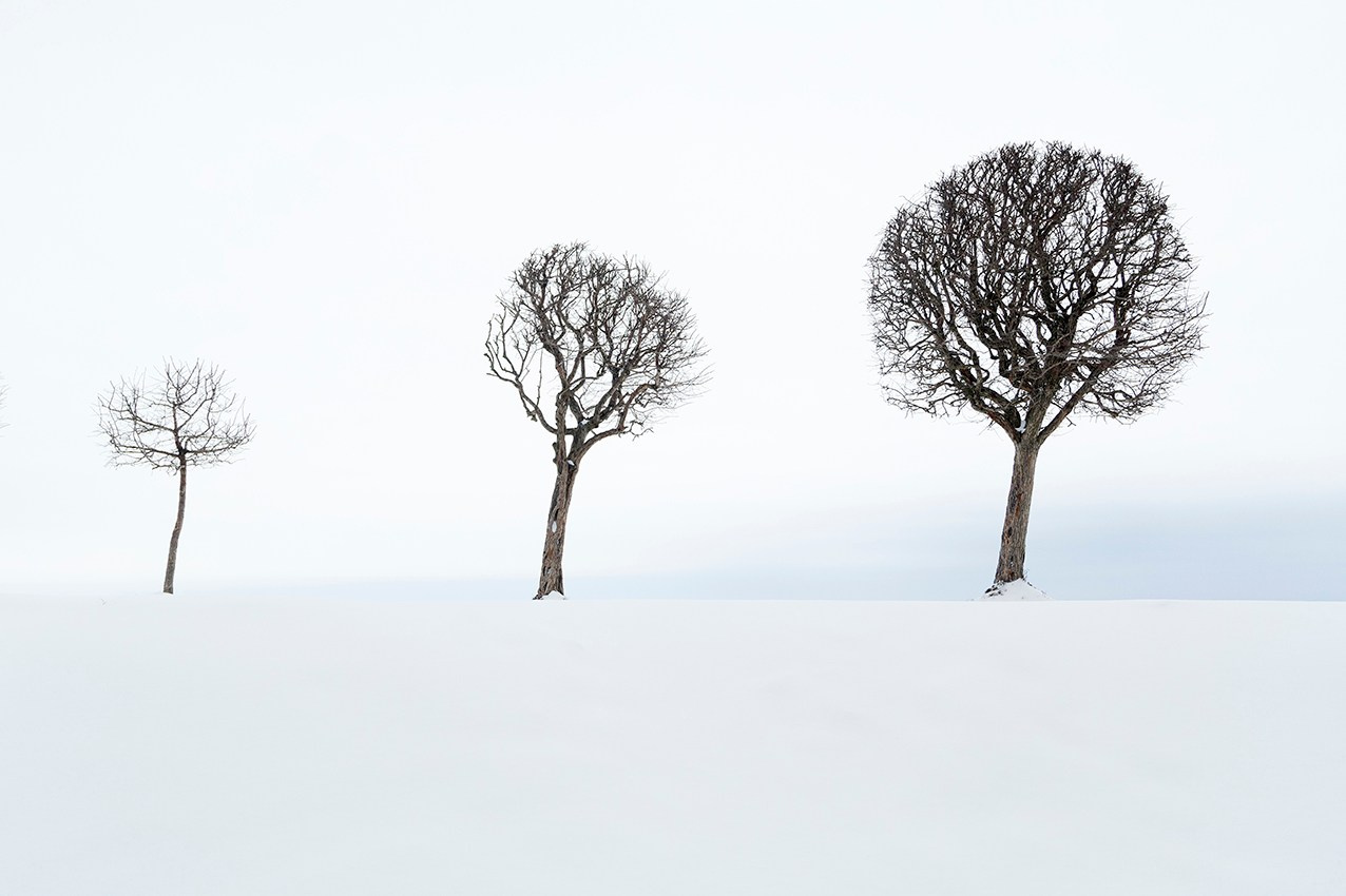 Peterhof. Vasiliy Riabovol — Fine Art Photographer | Time, Space, and Silence