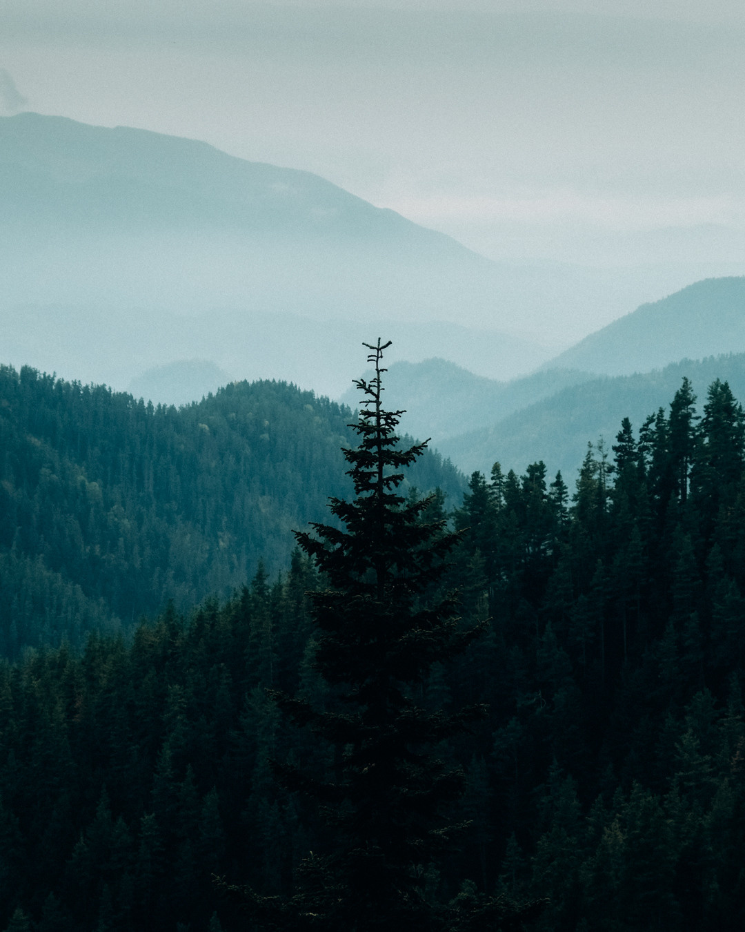 Фотограф Дмитрий Олрайт | Калуга, Россия