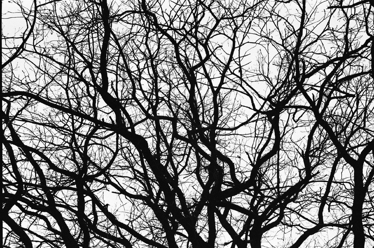 Страница со стихами. Поэт Александр Зайцев