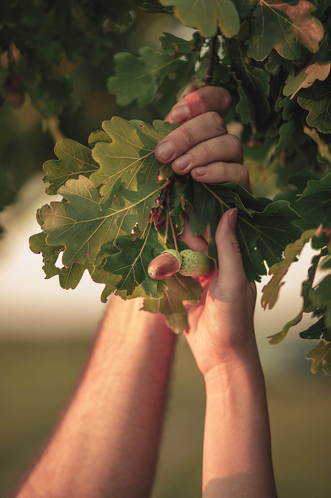 Игорь и Вика. Семейный, детский, свадебный фотограф по всей РБ Валера Михневич