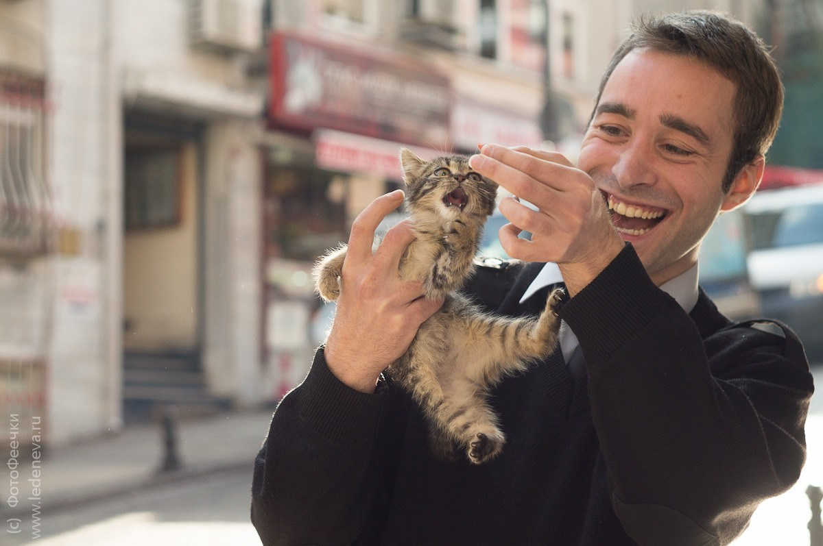 Стамбул, Турция. Анна Леденева Фотограф