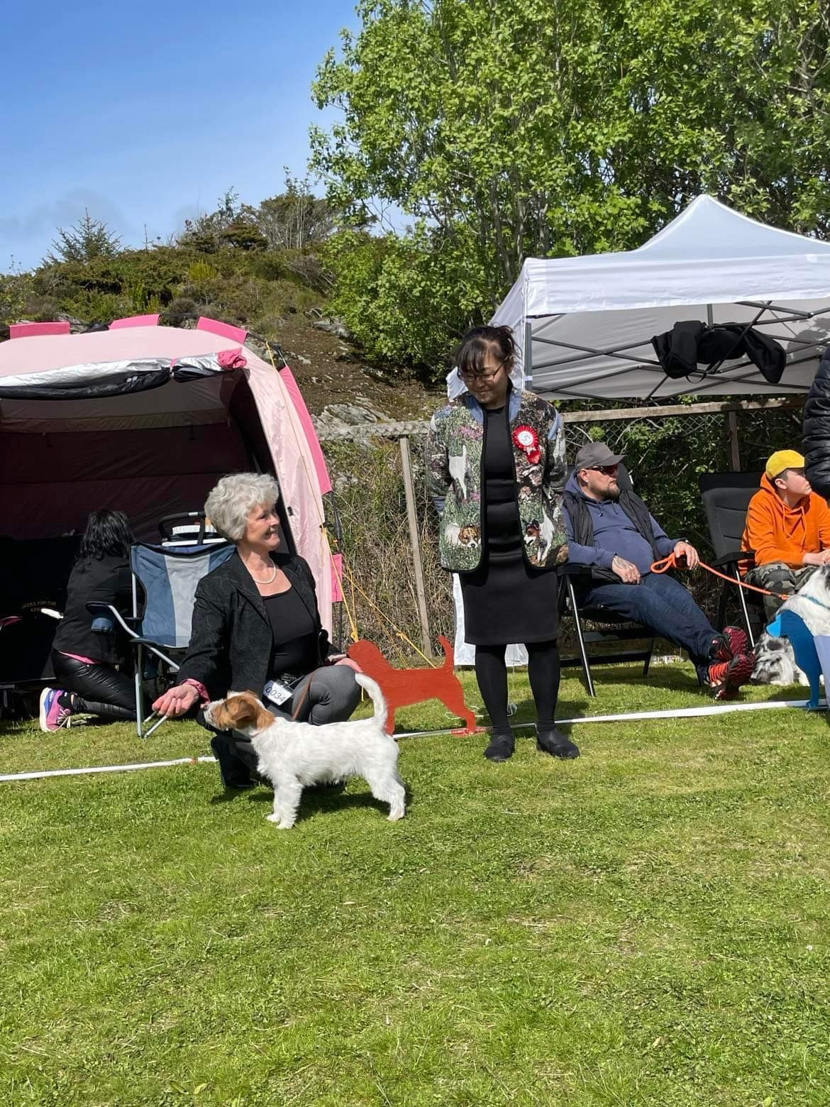 CM KIT_KAT. КАНЕ МАЭСТРО — питомник Джек рассел терьеров