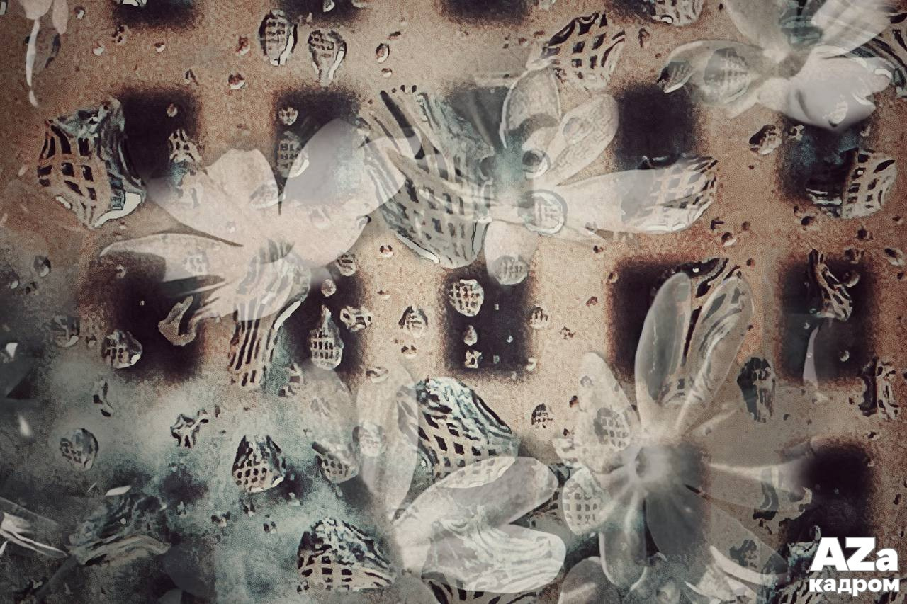 AZакадром «Фотофанты». Женский семейный фотограф Тула Москва Захарова Анна