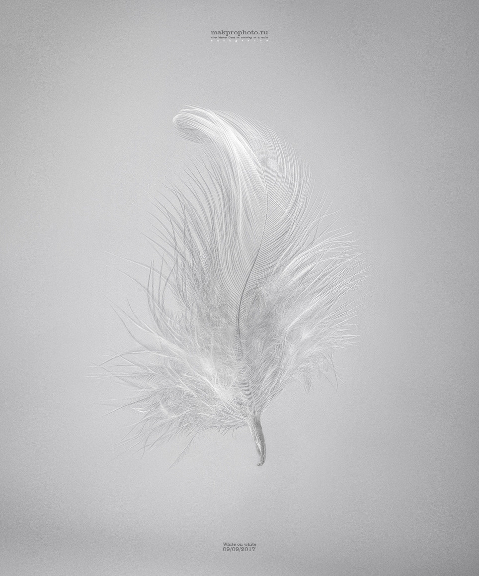 Предметная и рекламная фотография