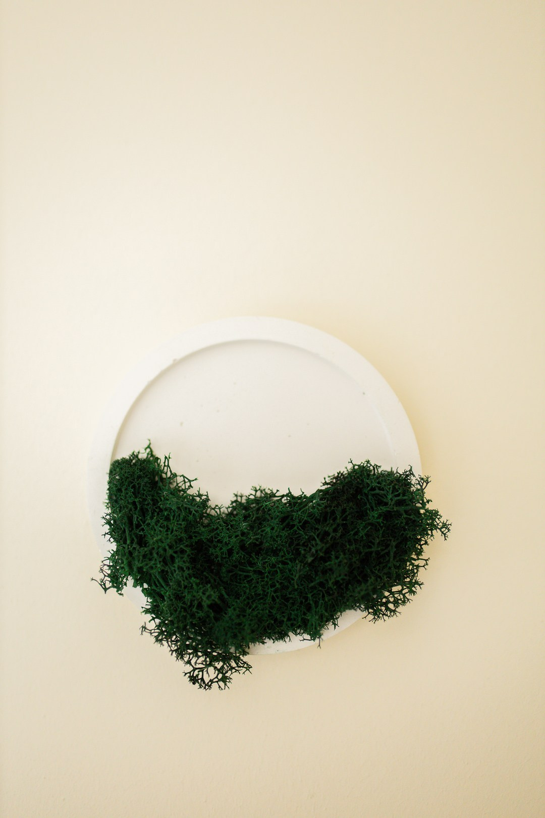 ЖК ZOOM Санкт-Петербург. Апартаменты. Интерьерный декоратор Юлия Мечёва