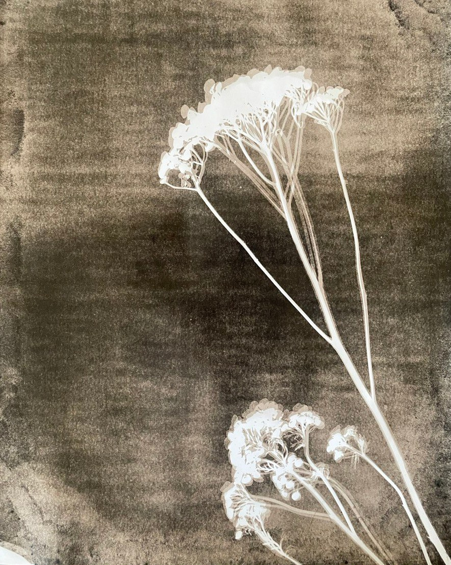Lith prints. Darkroom aesthetics