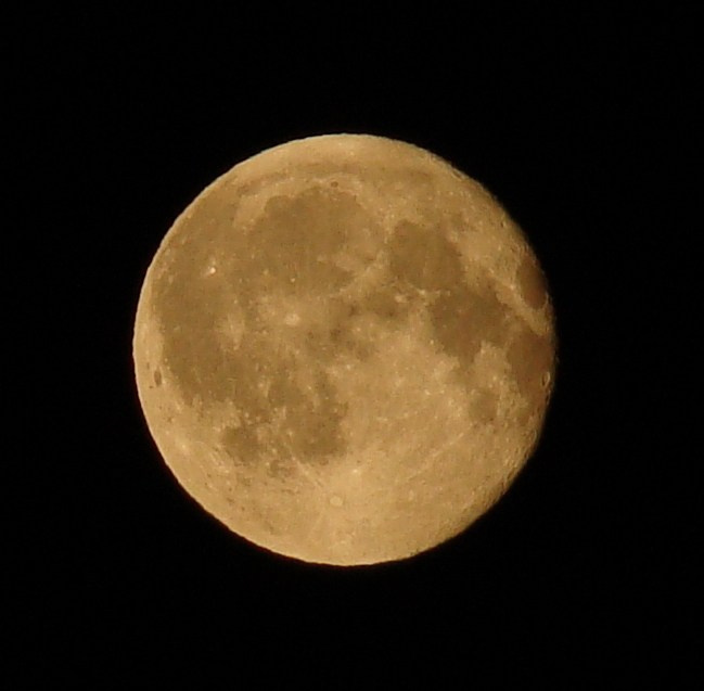 Самые первые мои фотографии. Елена Берсенева, фотограф