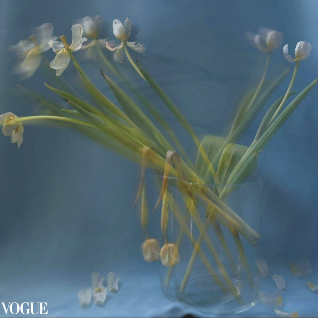 «Крылья» творческая мастерская 23-24. Онлайн фотошкола просто о фото, фотограф, психолог фототерапия москва сочи анна ивкина