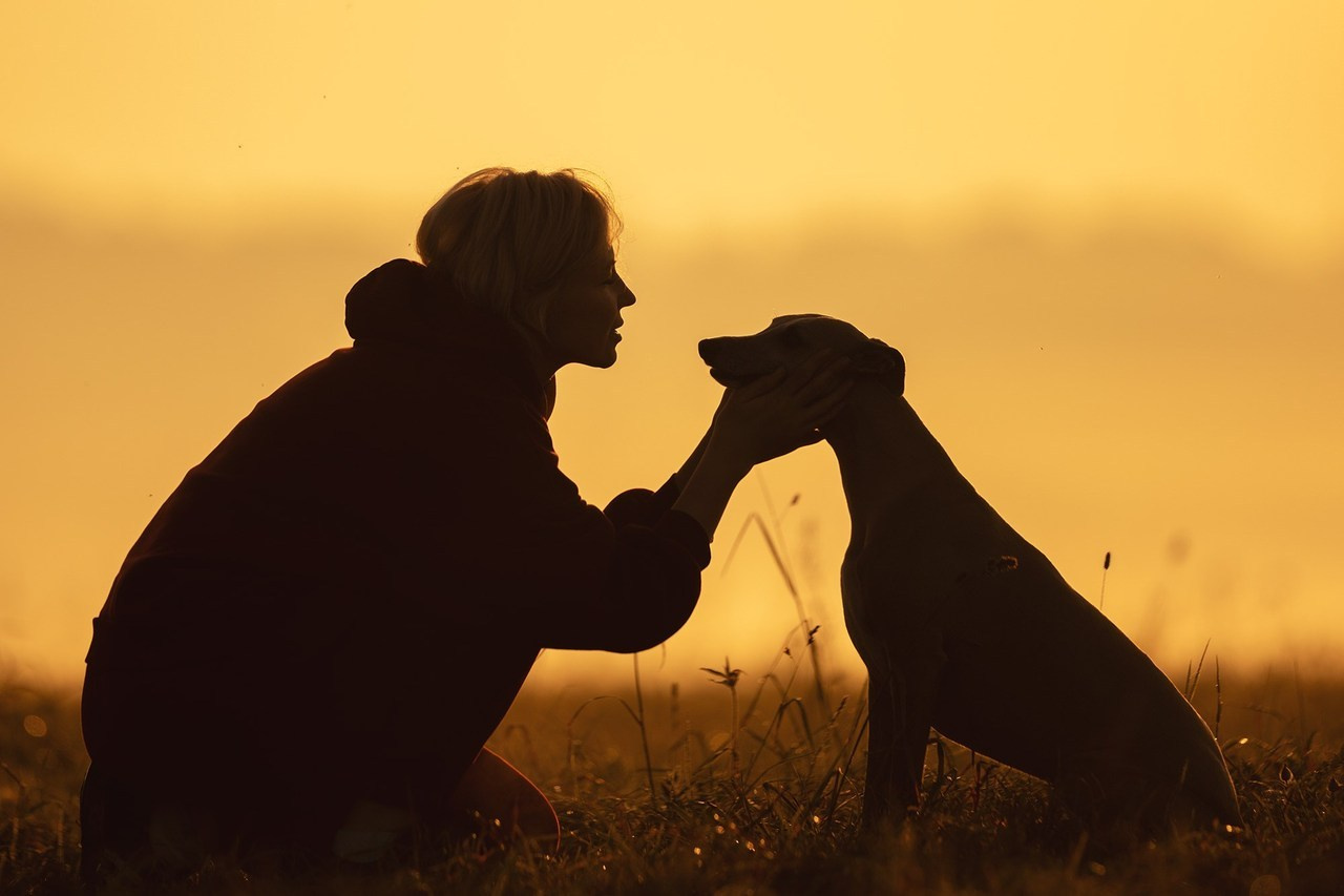 Отзывы. Фотограф Анастасия Ветковская, Москва