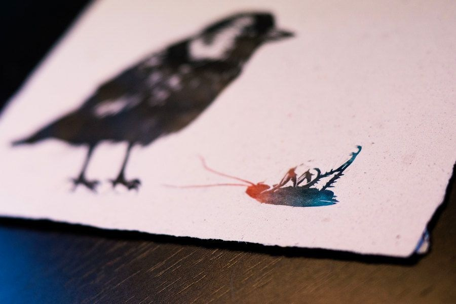 Гравюры. Фотография Стремского