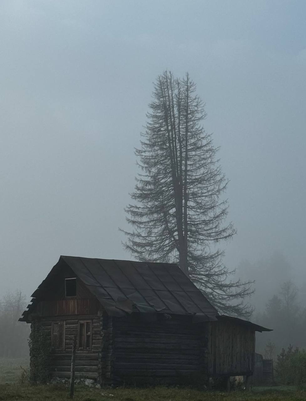 Взгляд сквозь объектив. Портретный фотограф город Уфа