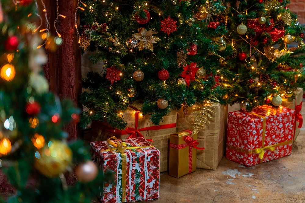 Запись на Новогодние съемки 2019-2020. Детский и семейный фотограф в Москве Катерина Орлова